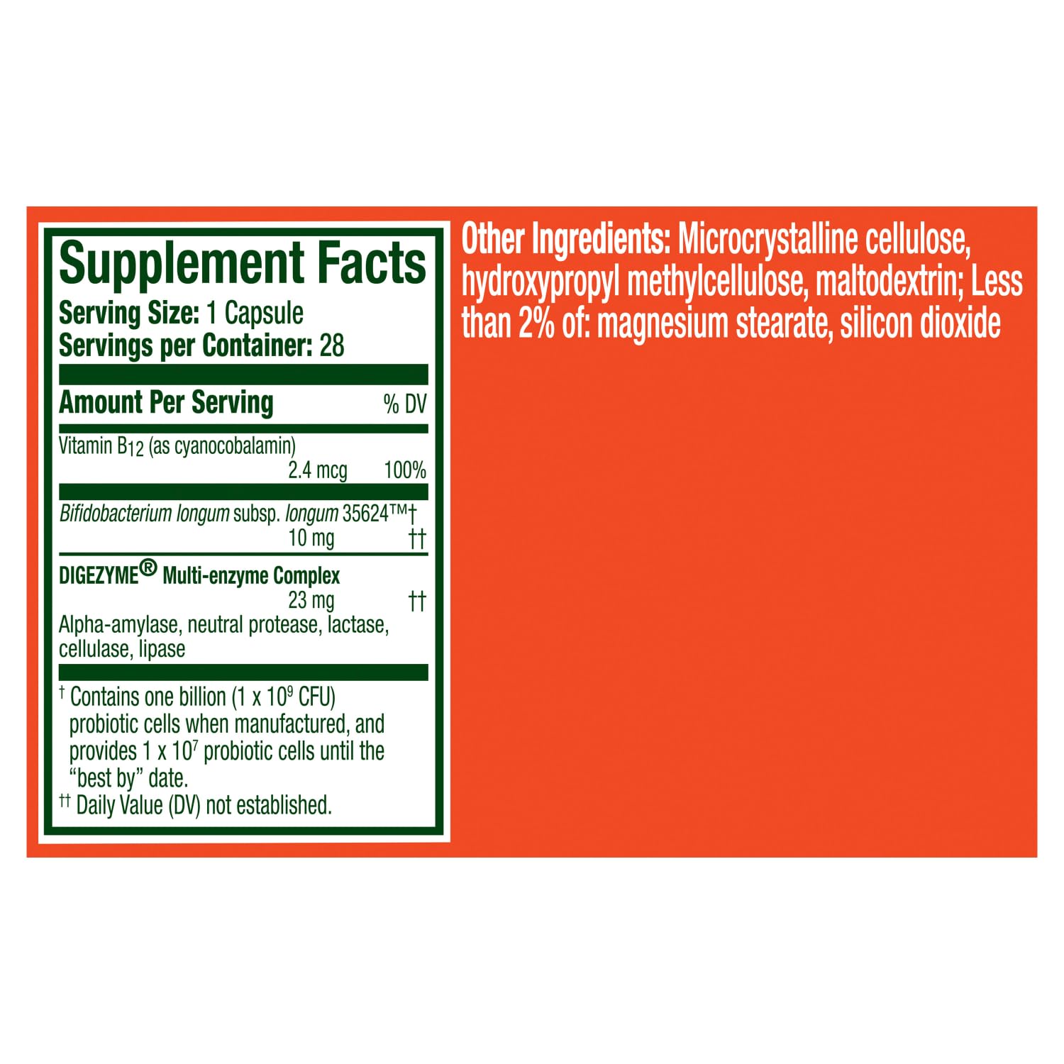 Digestive health concept with metabolism of food