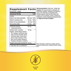 Zinc and vitamin symbols illustrating immune health support