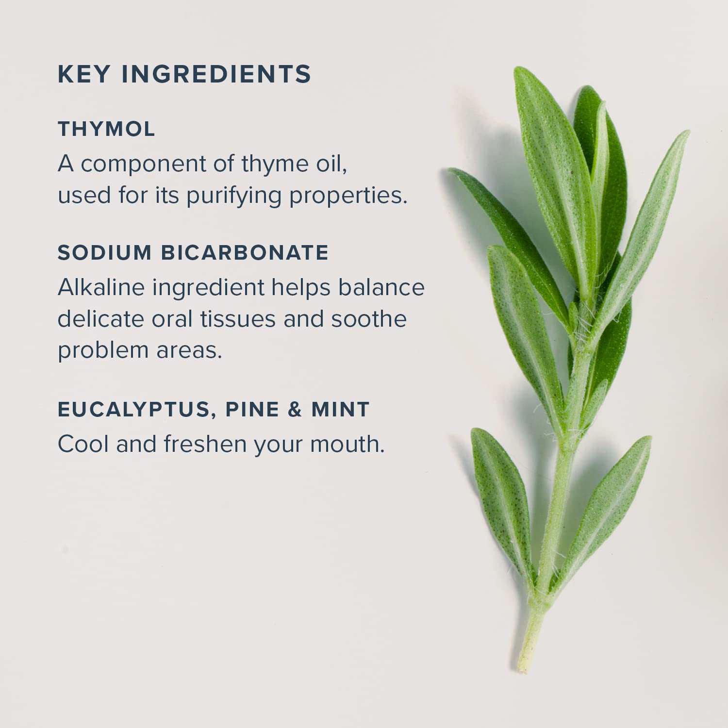 Illustration of ingredients for Alka-Thyme Mouthwash including thymol and eucalyptus oil