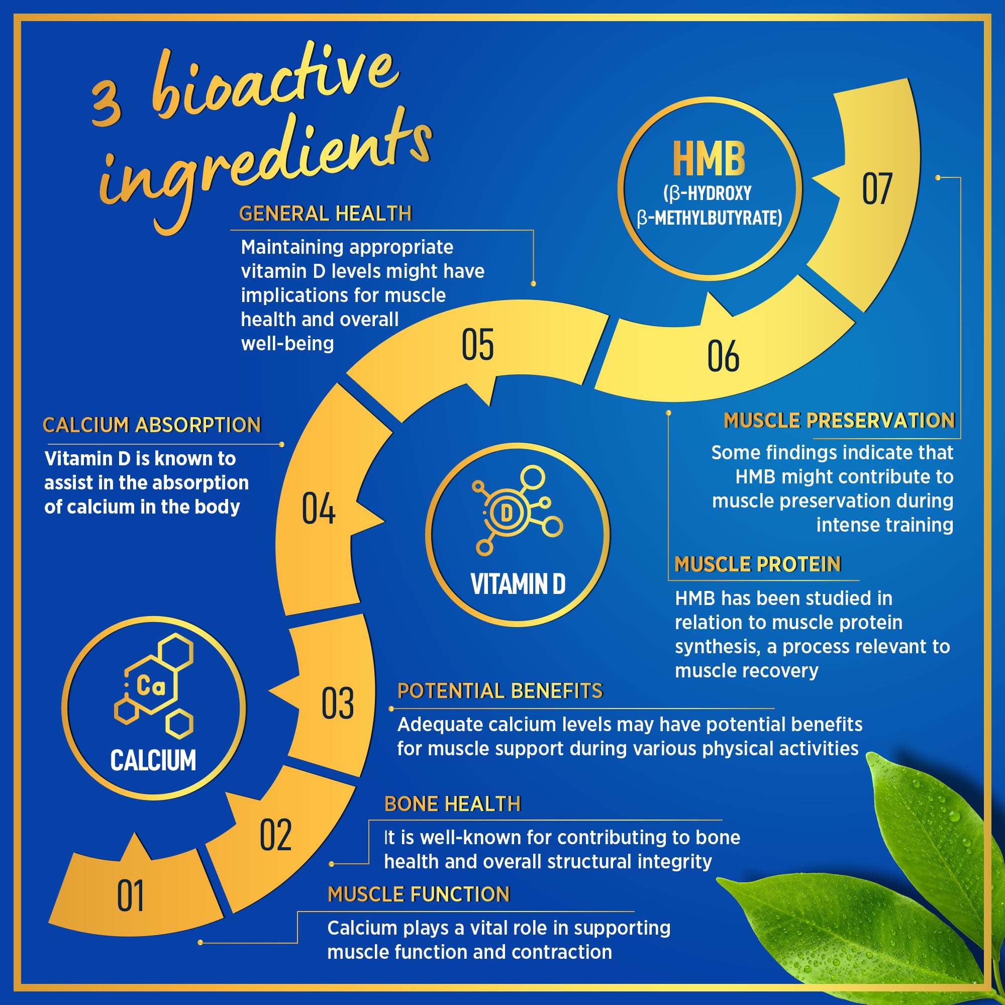 Infographic illustrating all-round gains, strength, and recovery