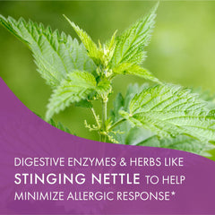 AllerFree allergen-free and non-GMO icons on packaging