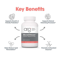 Diagram showing detox support in the gastrointestinal tract