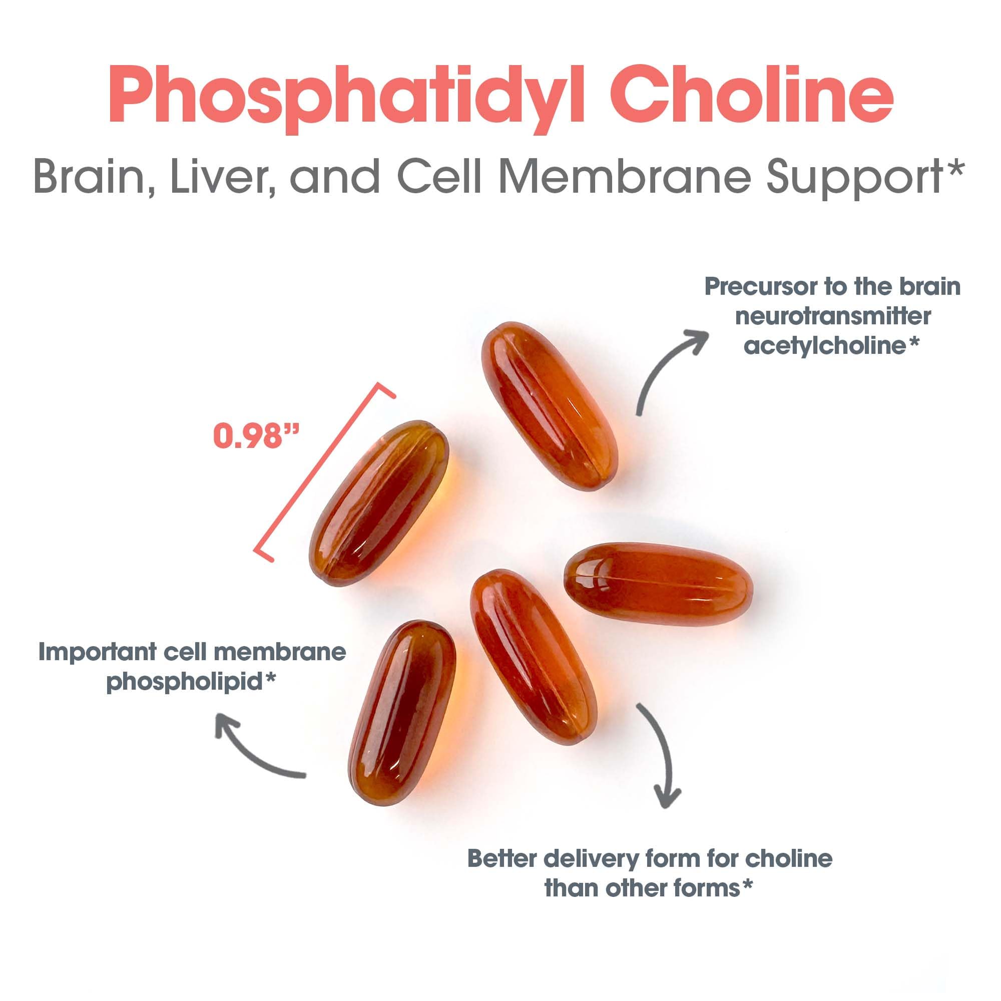 Support for fat digestion and lipid regulation