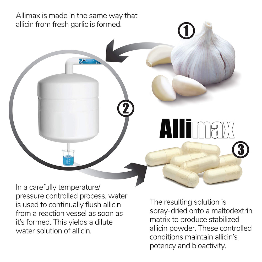 Illustration of bioactive allicin absorption