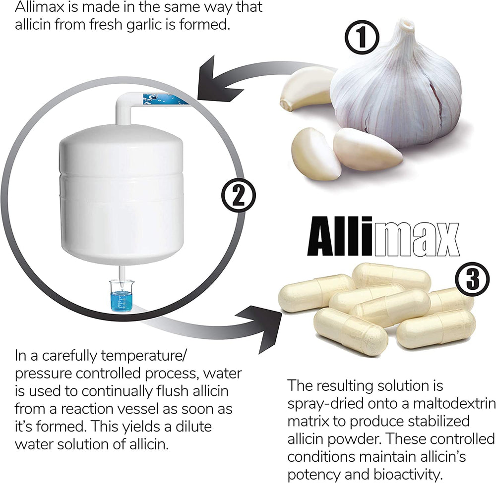 Spanish-grown garlic field used for ALLIMAX sourcing