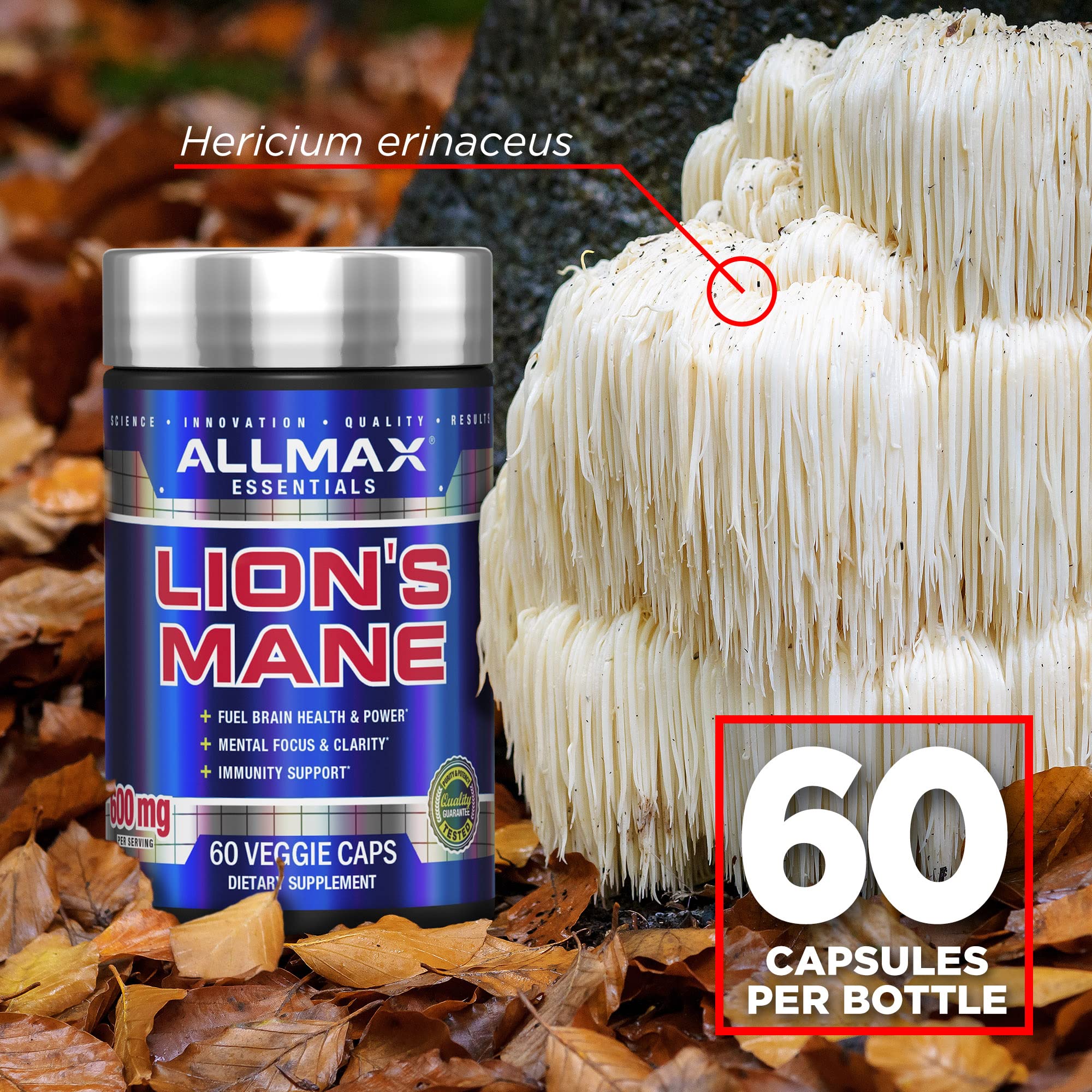 ALLMAX Lion's Mane packaging and bottle on white background