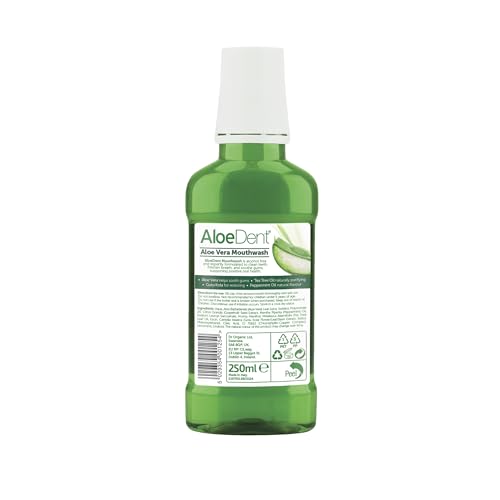 Close-up of Aloe Vera plant and essential oils for mouthwash
