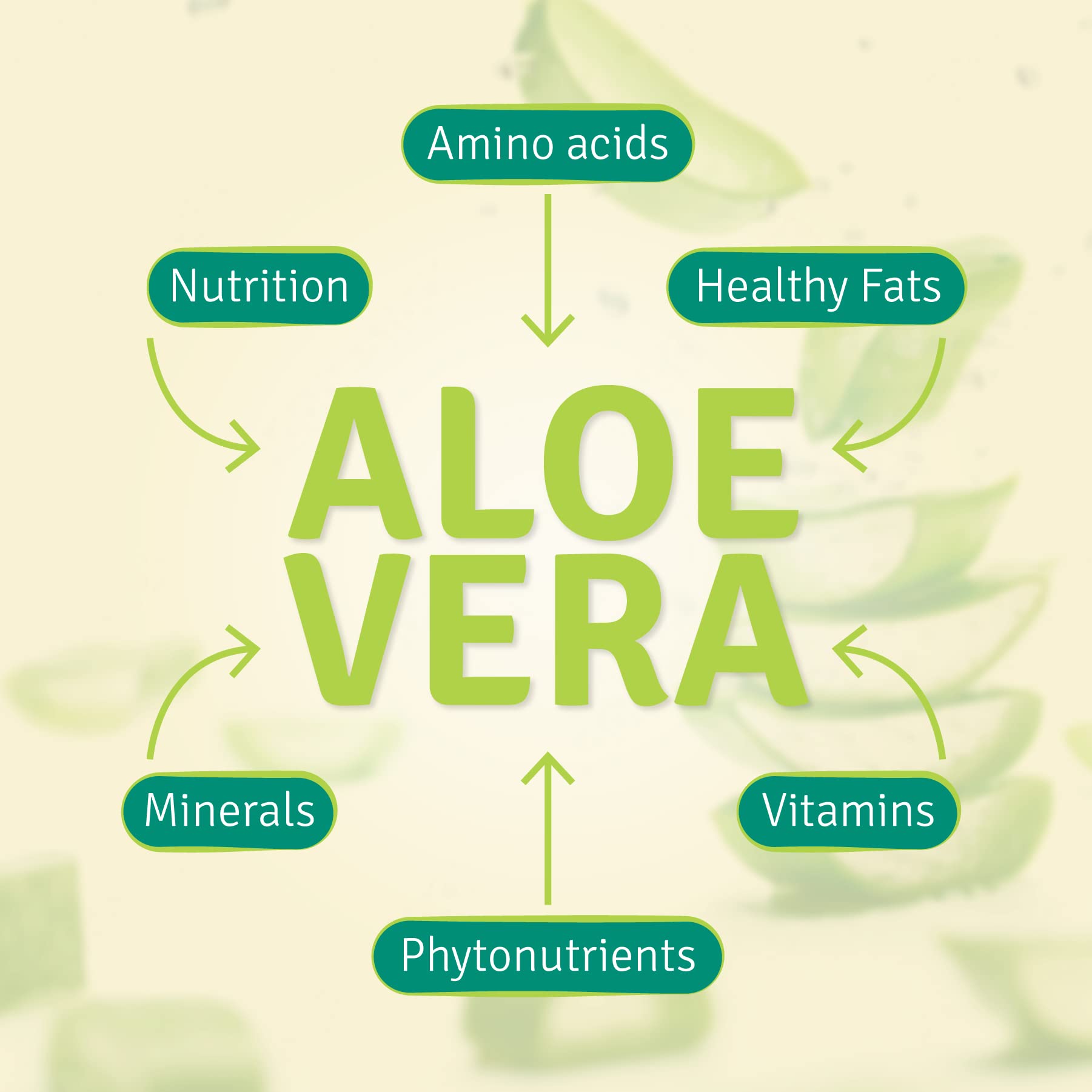 Close-up of concentrated aloe vera base used in the formula