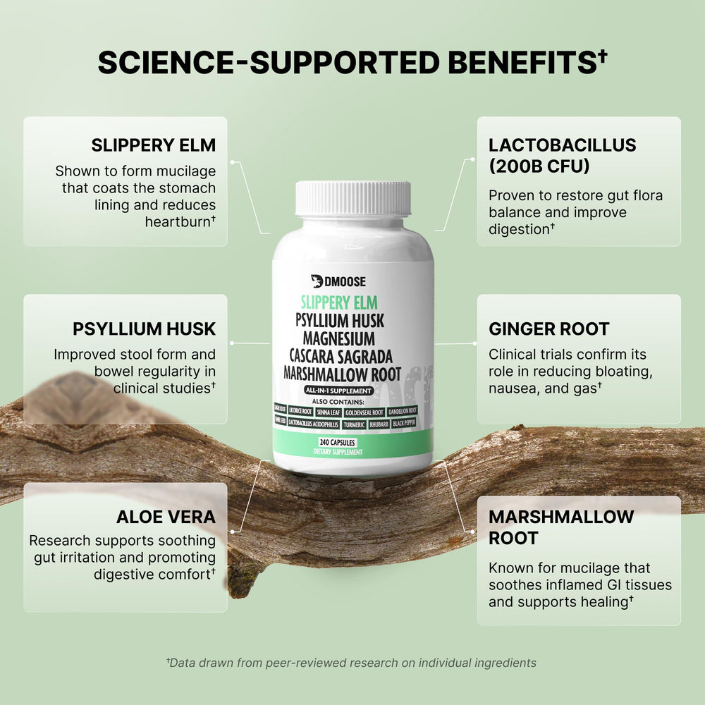 Aloe vera and marshmallow root soothing digestive tissues