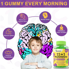 Illustration of 11-in-1 brain formula with Alpha GPC, Bacopa, B vitamins