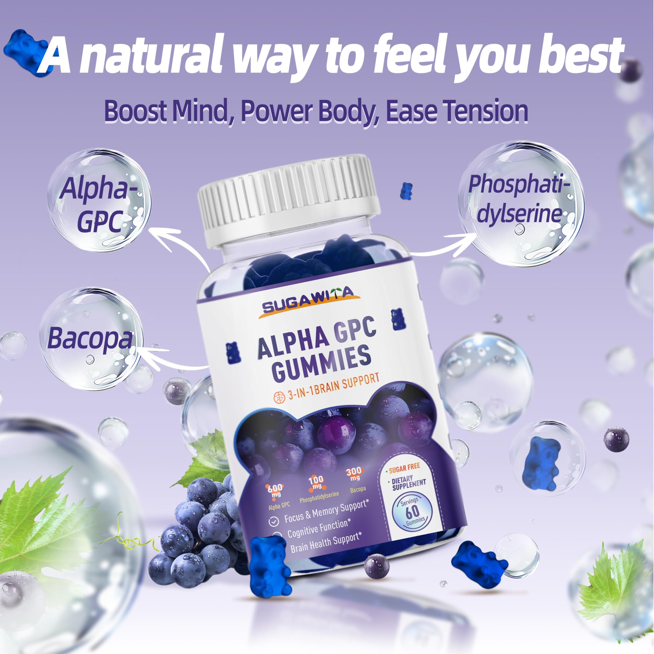 Close-up of Alpha GPC ingredients: Phosphatidylserine and Bacopa