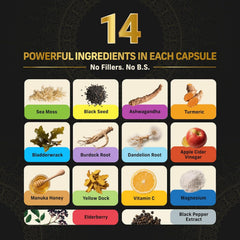 Ashwagandha, Turmeric and capsules in a row