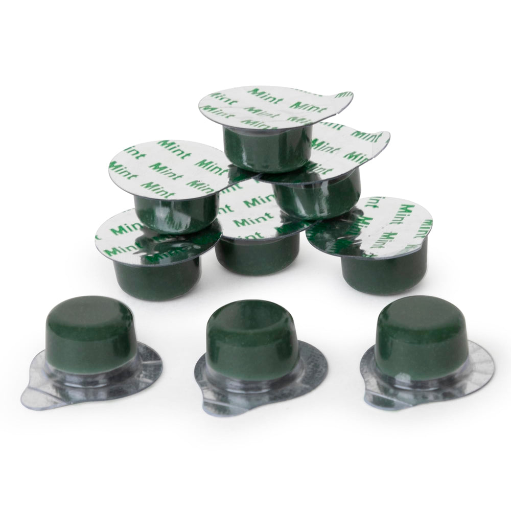 Alpine Blanc Tooth Polish non-splatter formula mint flavored coarse grit product image 2