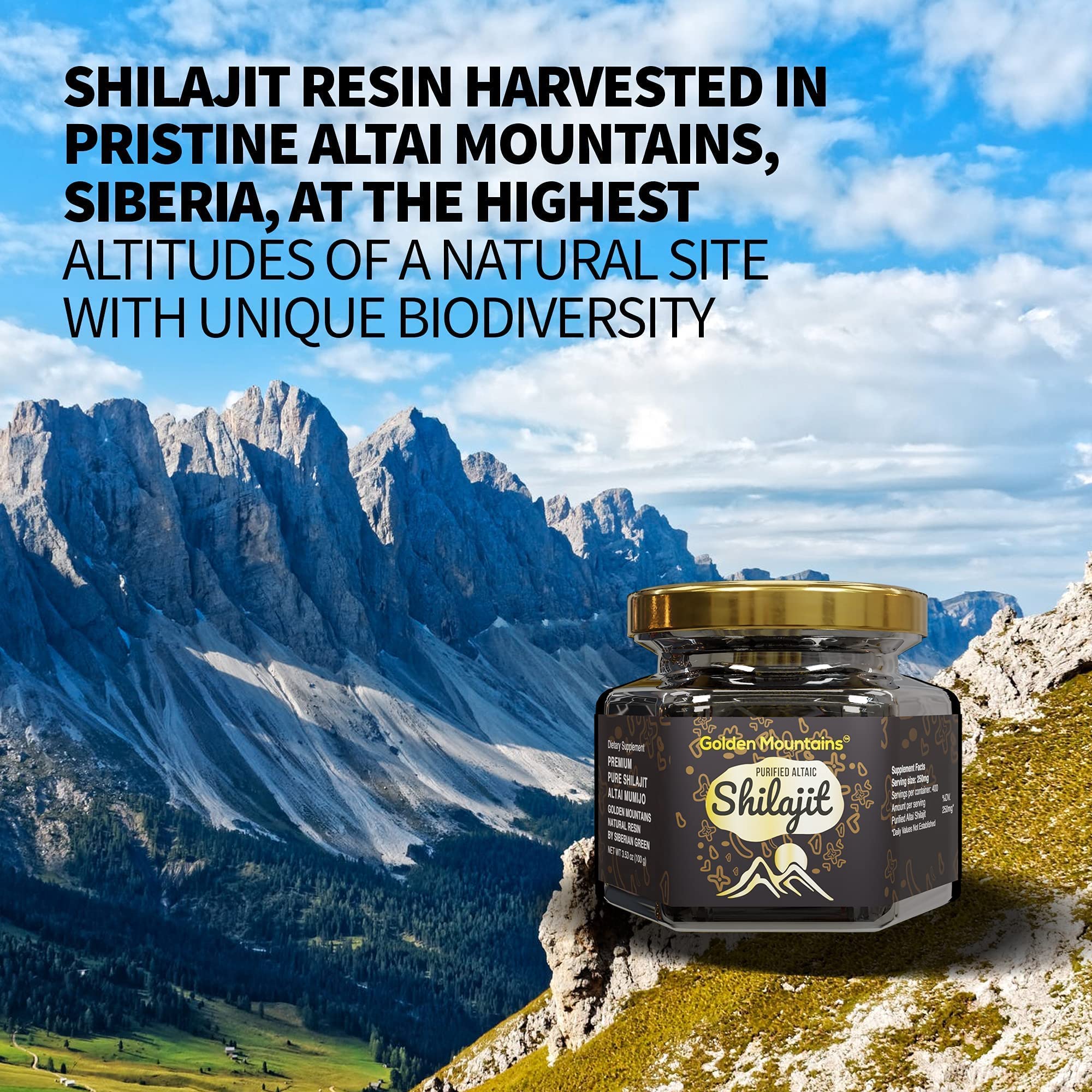 Golden Mountains Shilajit Resin from Altai in a 100g package