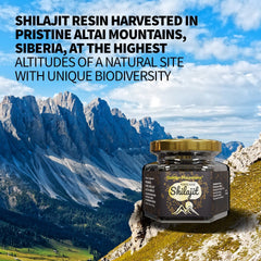 Golden Mountains Shilajit Resin from Altai in a 100g package