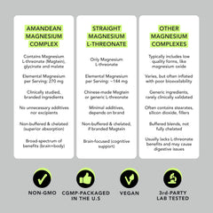 Graphic illustrating brain health and cognitive support