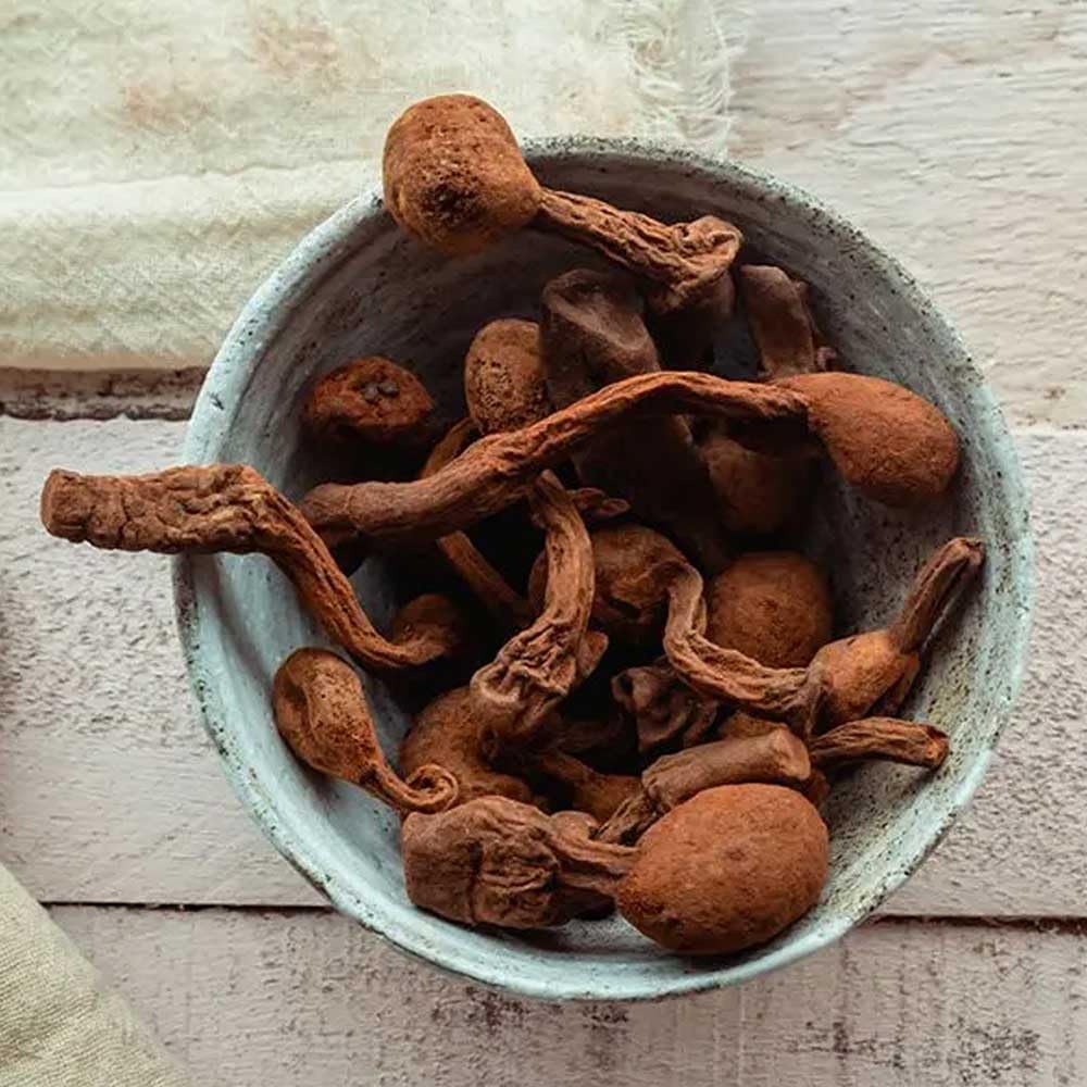 Amazon Andes Capsule close-up reveals gelatinized powder texture for smooth digestion.