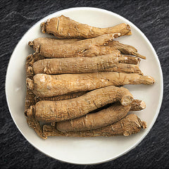 Close-up of long jumbo Wisconsin ginseng roots in packaging