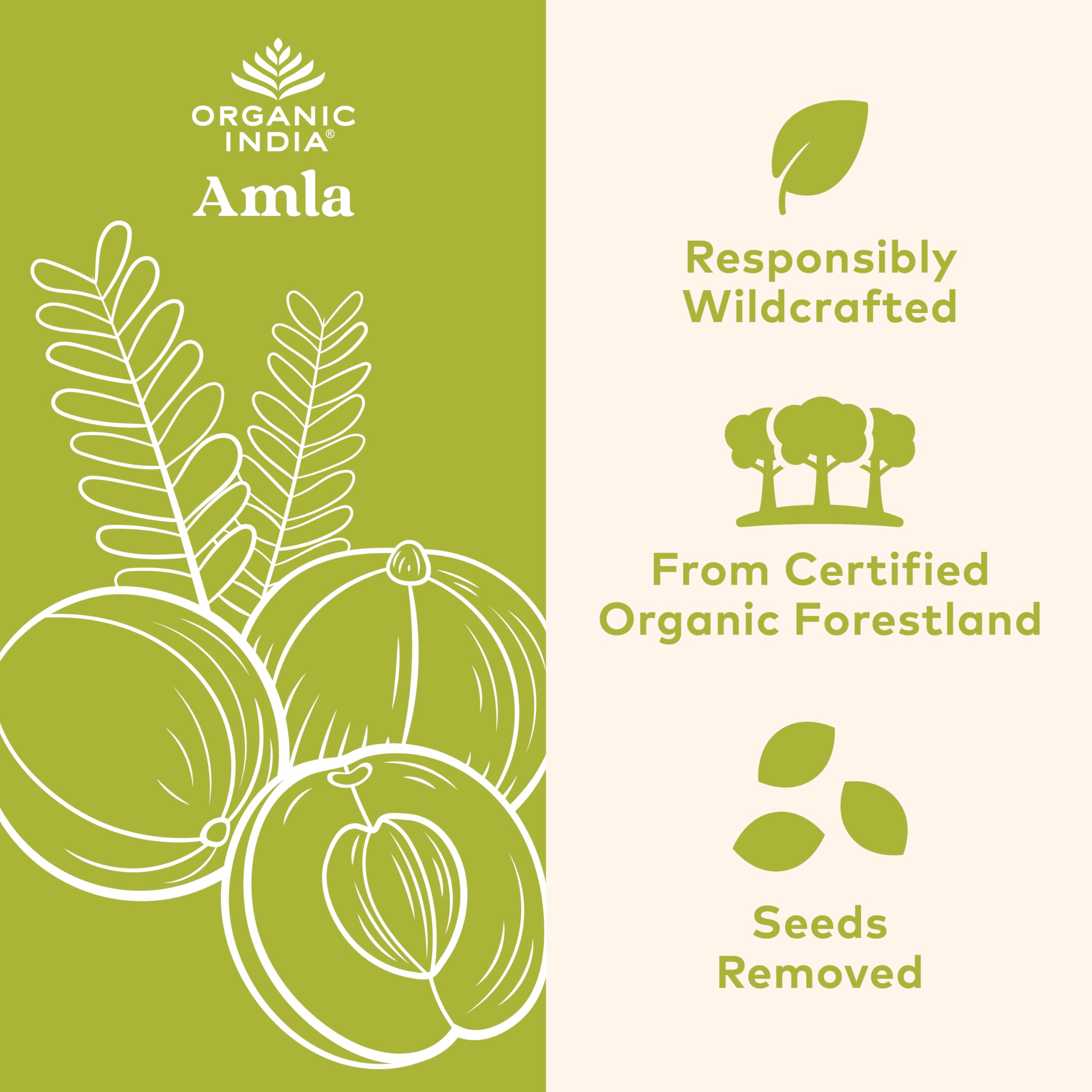 Close-up of amla capsules