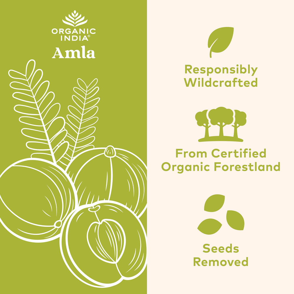 Close-up of amla capsules