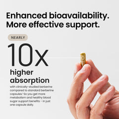 Graphic depicting AMPK activation in metabolism.