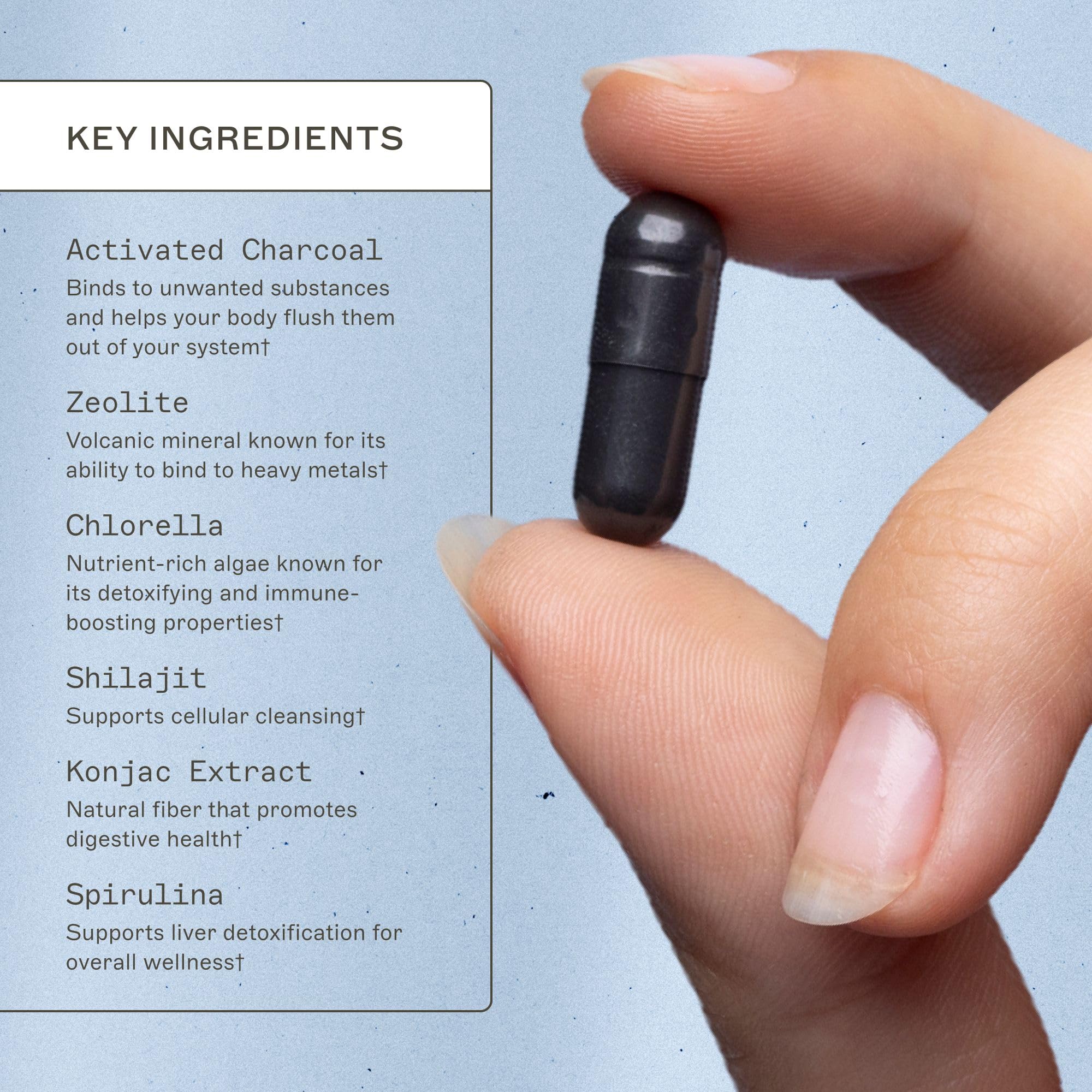 Amy Myers MD Charcoal Binder Complete label—clear ingredient blend for gut health.