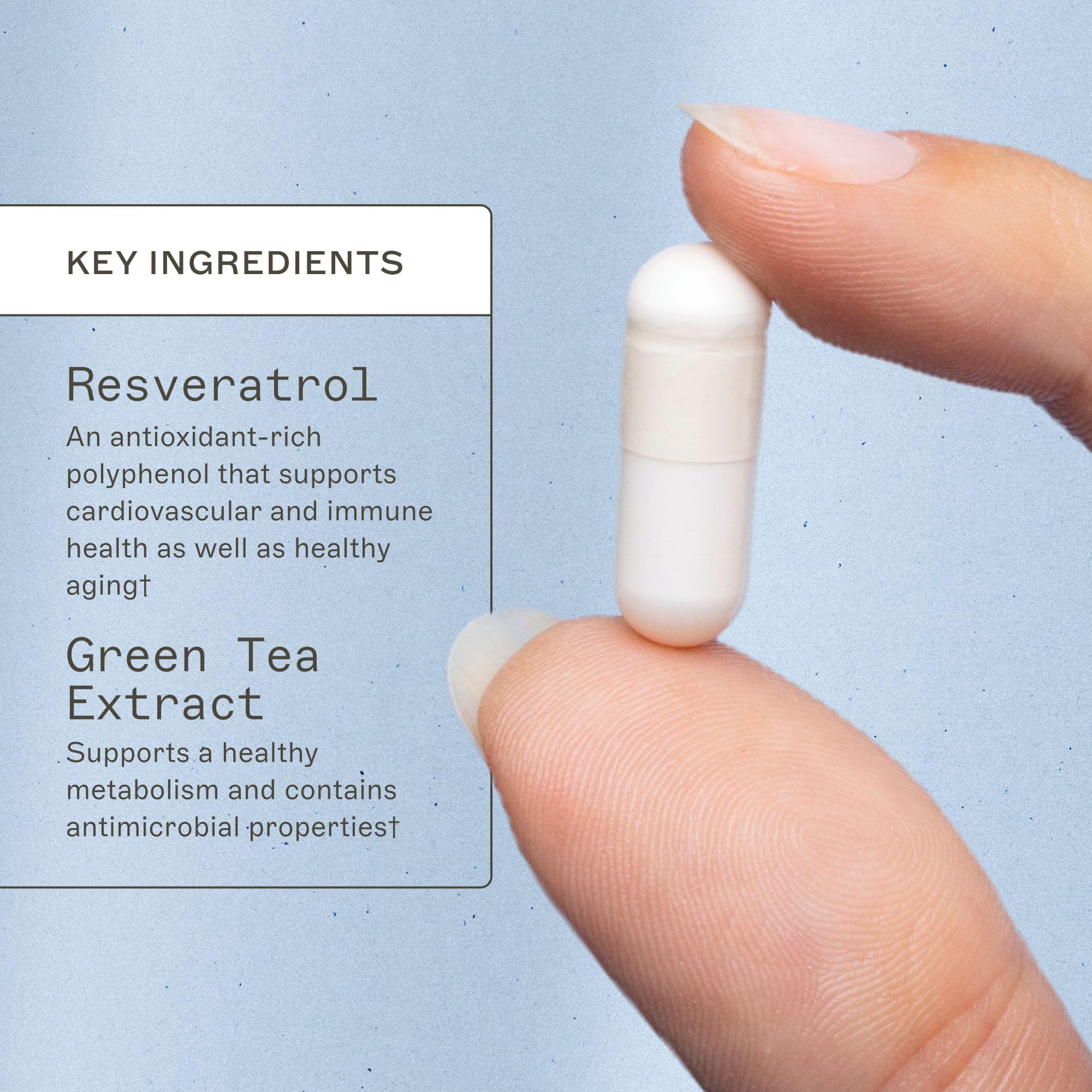 Illustration of one capsule per day dosage