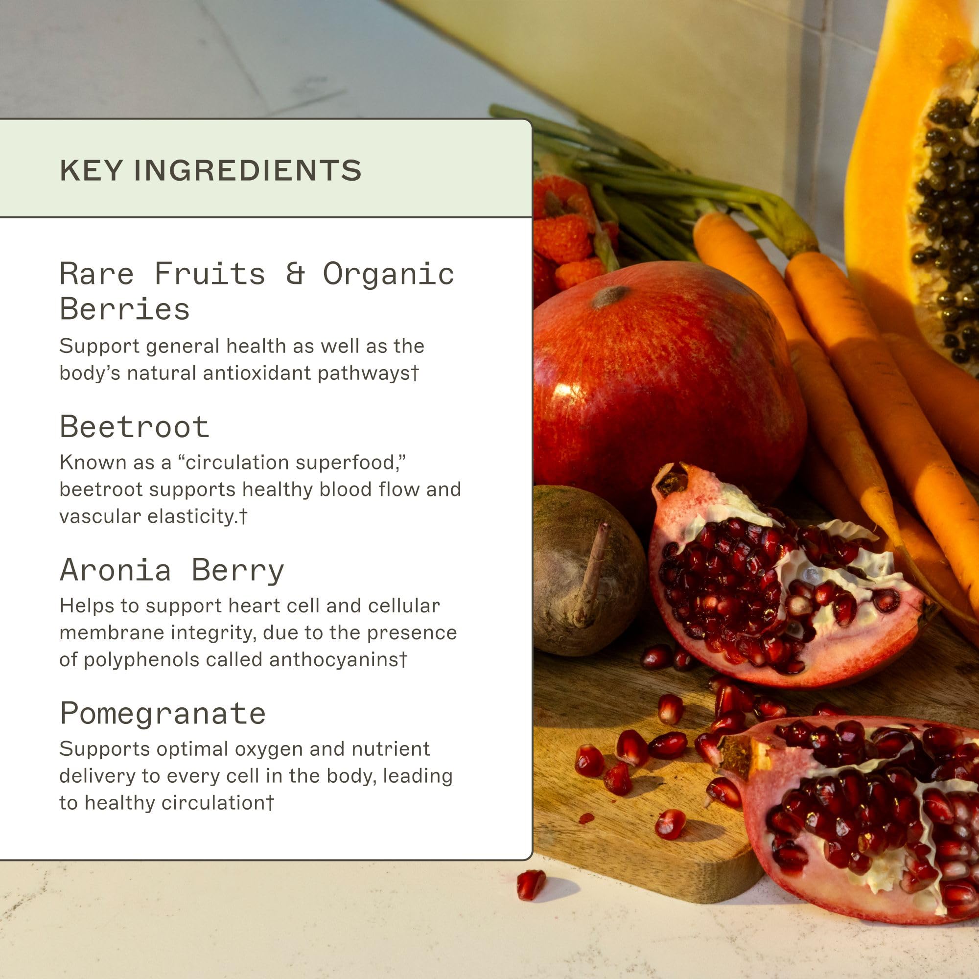 Pouring Organic Reds Superfood Powder into a shaker