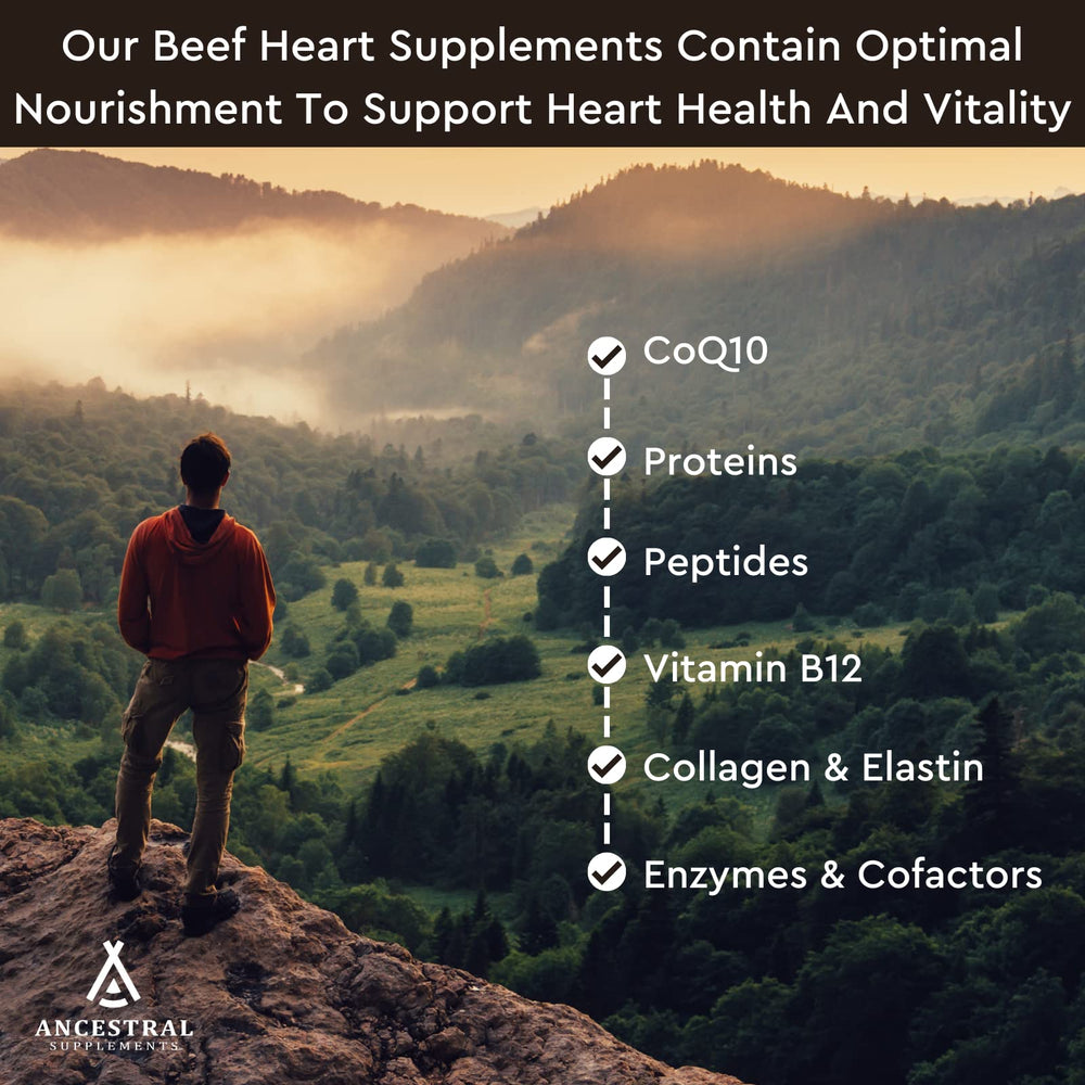 CoQ10 and heart health nutrition graphic