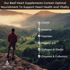 CoQ10 and heart health nutrition graphic