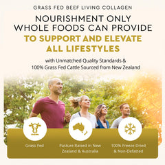 Graphic illustrating beef cartilage as the collagen source