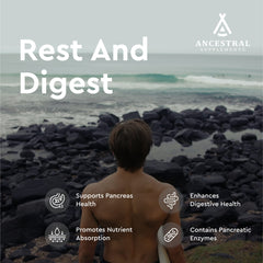 Graphic depicting digestive enzymes lipase, protease, trypsin, and amylase