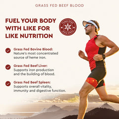 Pasture-raised grass-fed cows in green fields