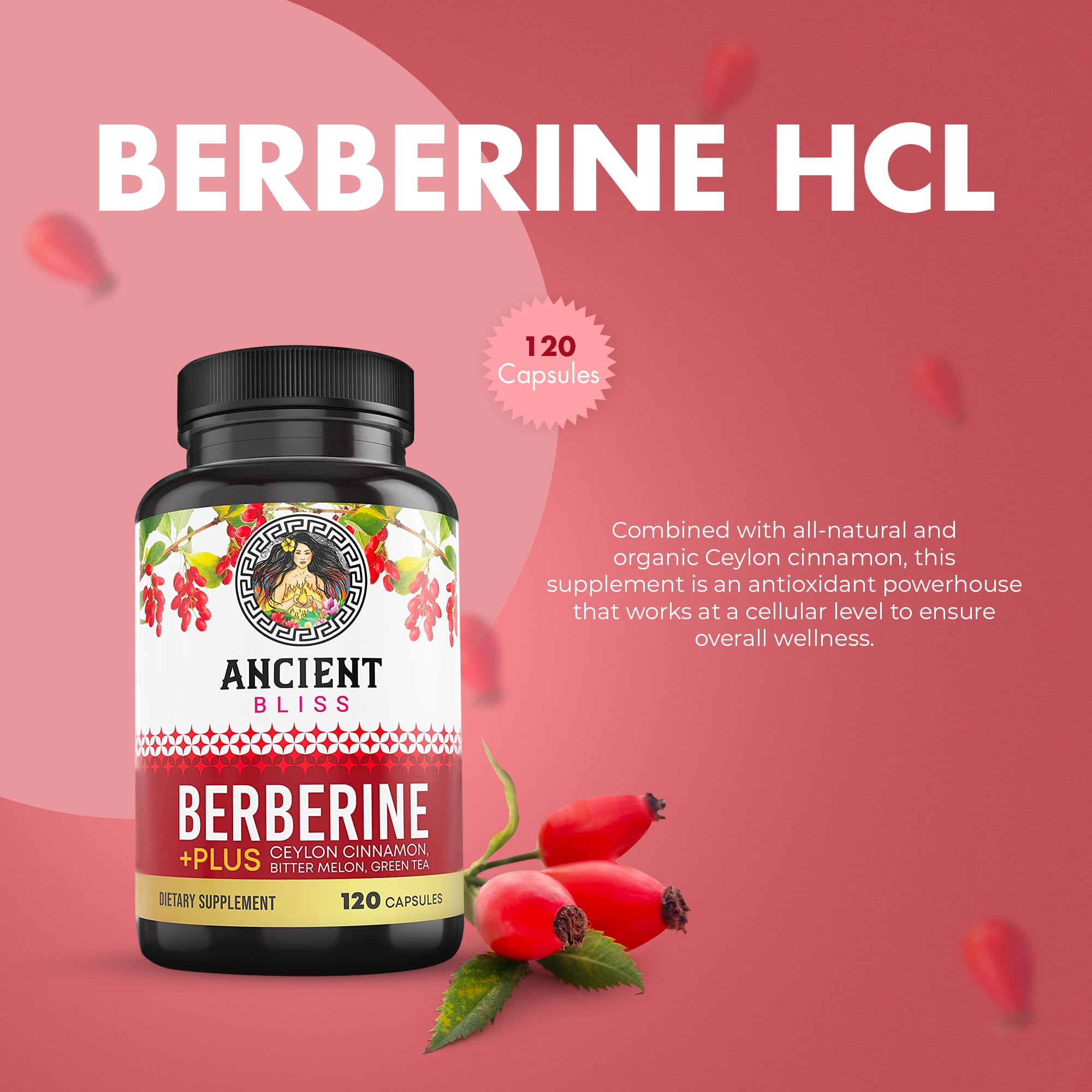 Berberine HCL capsules with Ceylon Cinnamon
