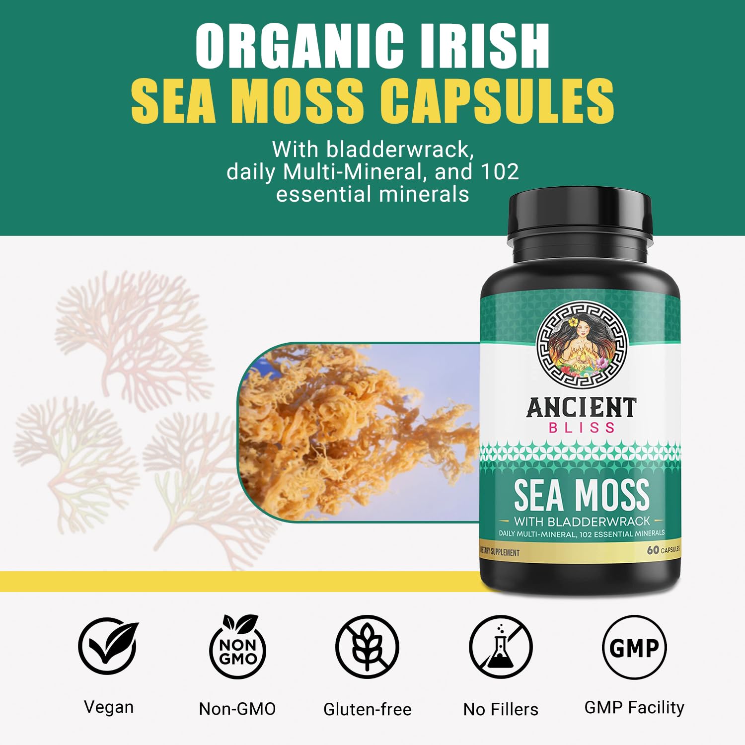 Close-up of Irish sea moss capsules