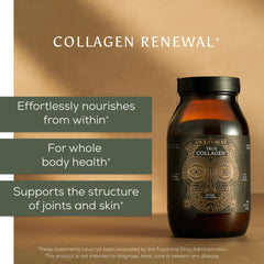 Ancient + Brave brand logo