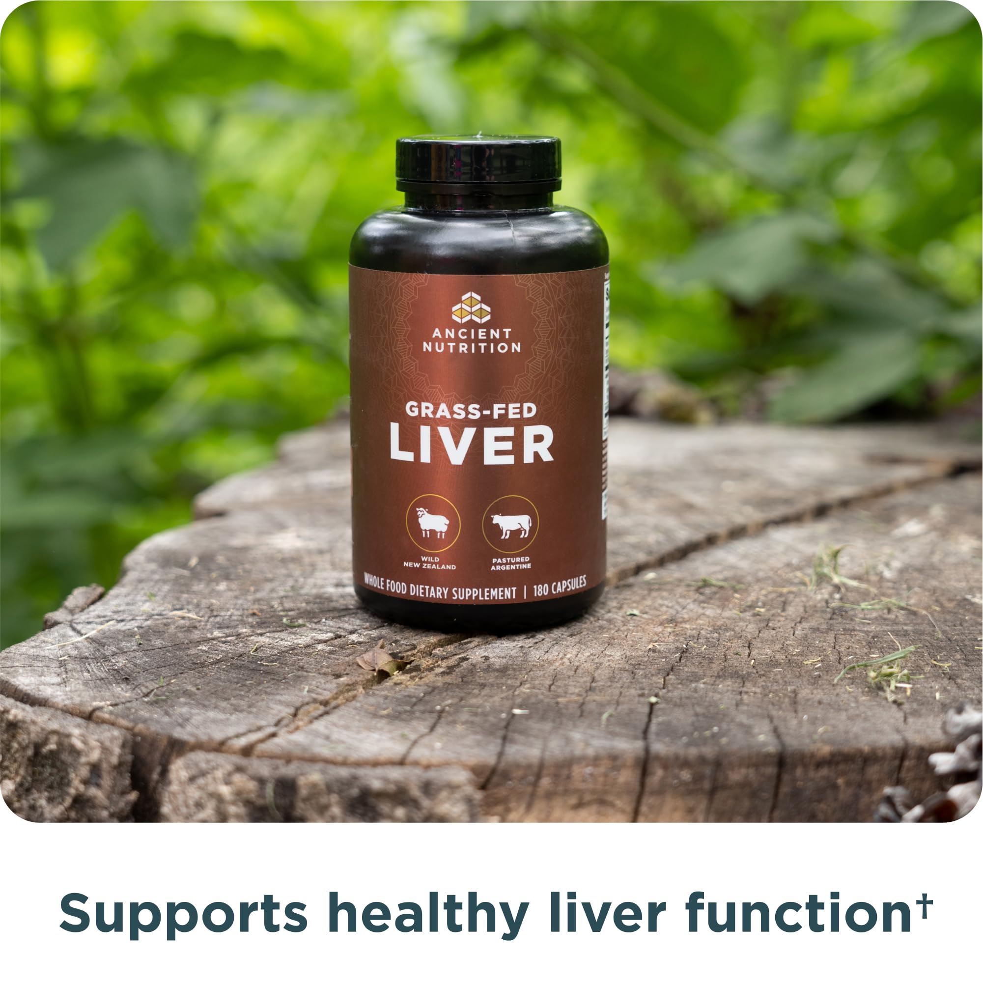 Beef liver and lamb liver supplement capsules