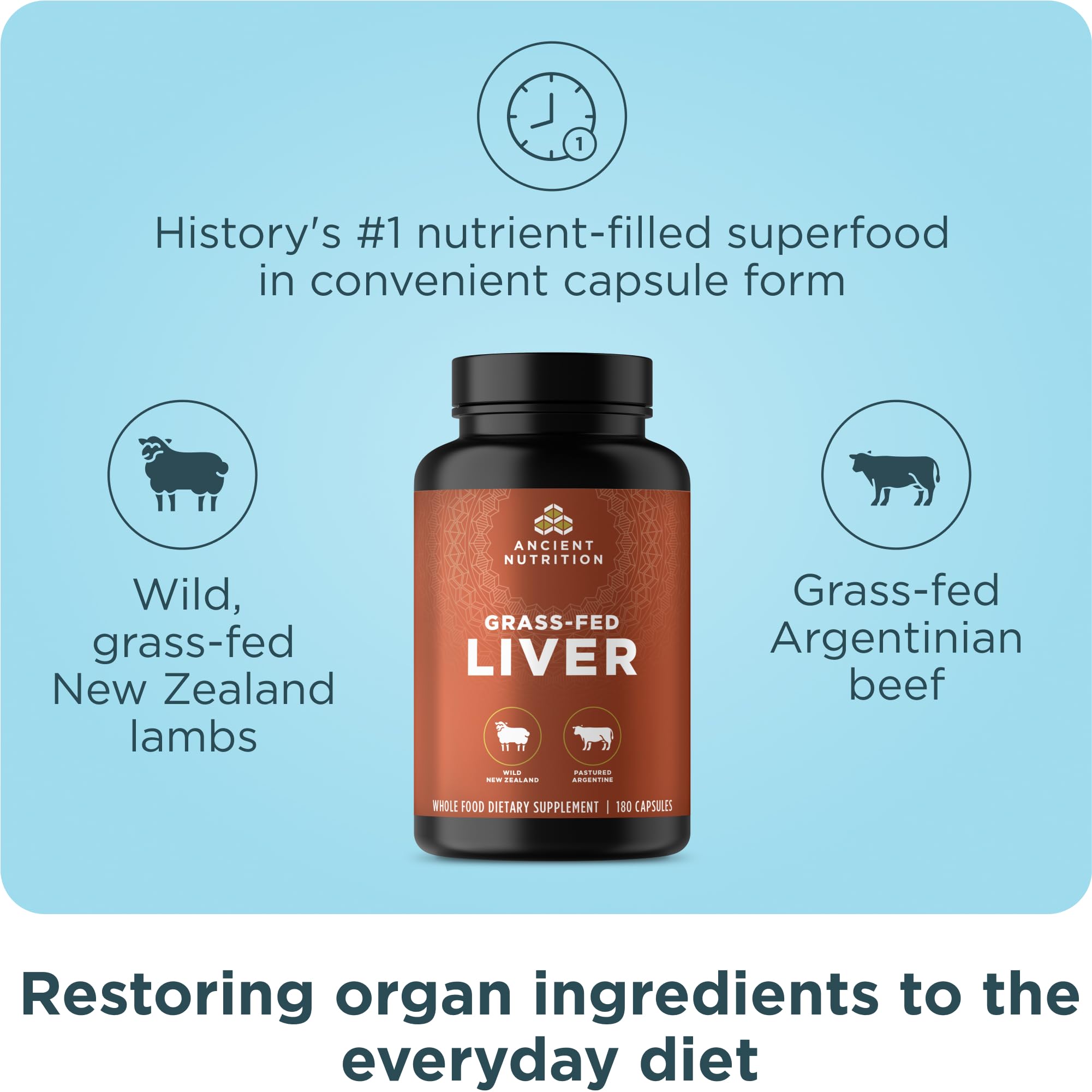 Grass-fed bovine organ liver capsules