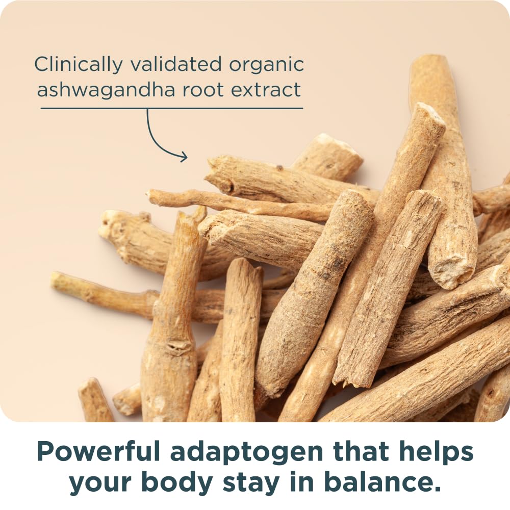 Mood support and hormonal balance for women 50+