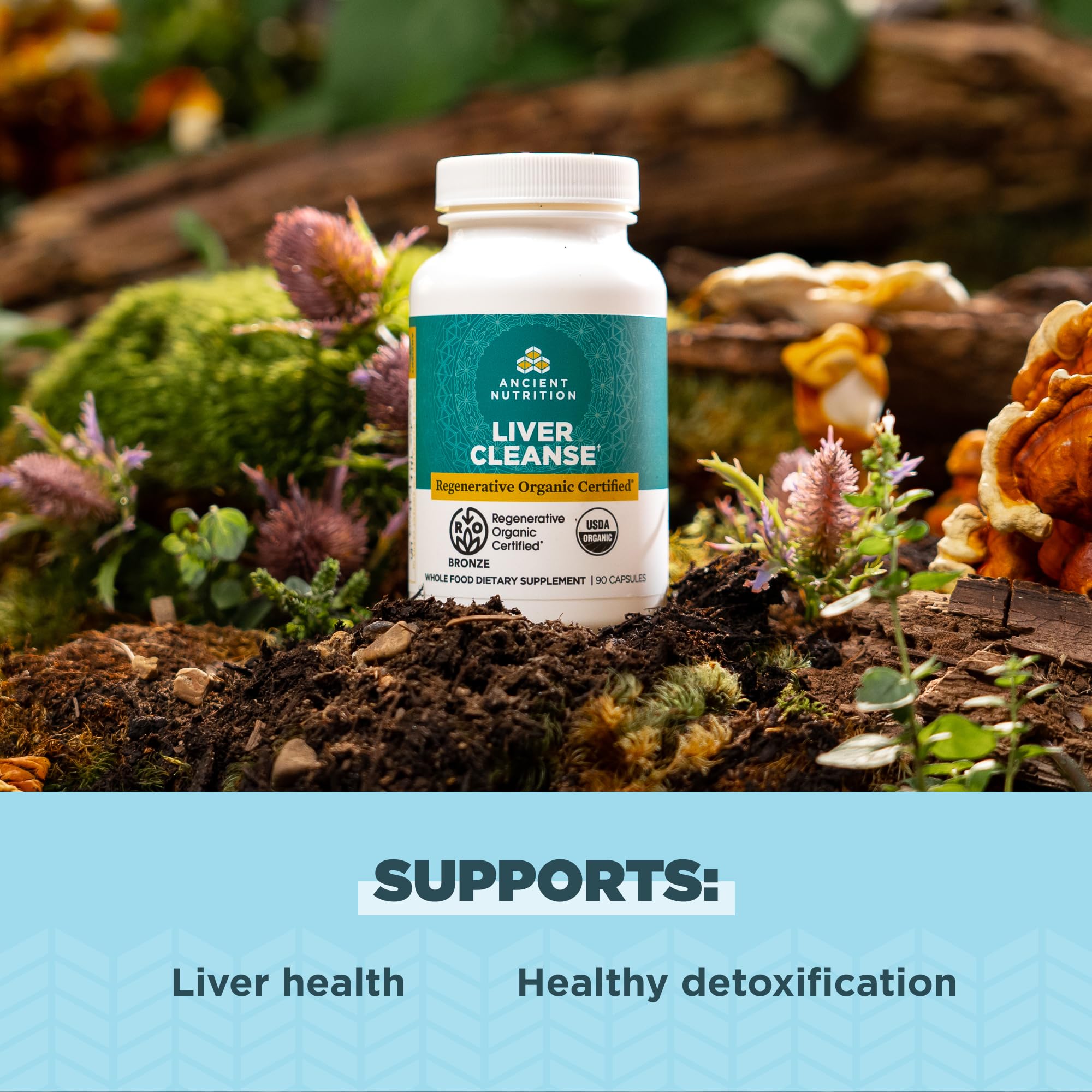 Reishi mushroom included in Ancient Nutrition Liver Cleanse