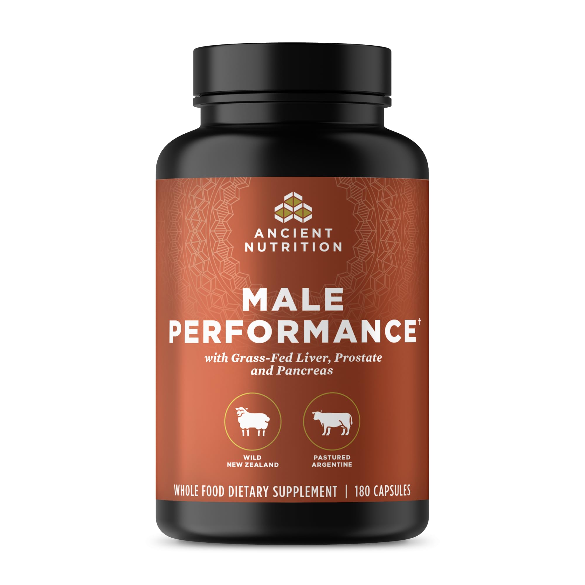 Ancient Nutrition Organ Supplements for Men bottle front