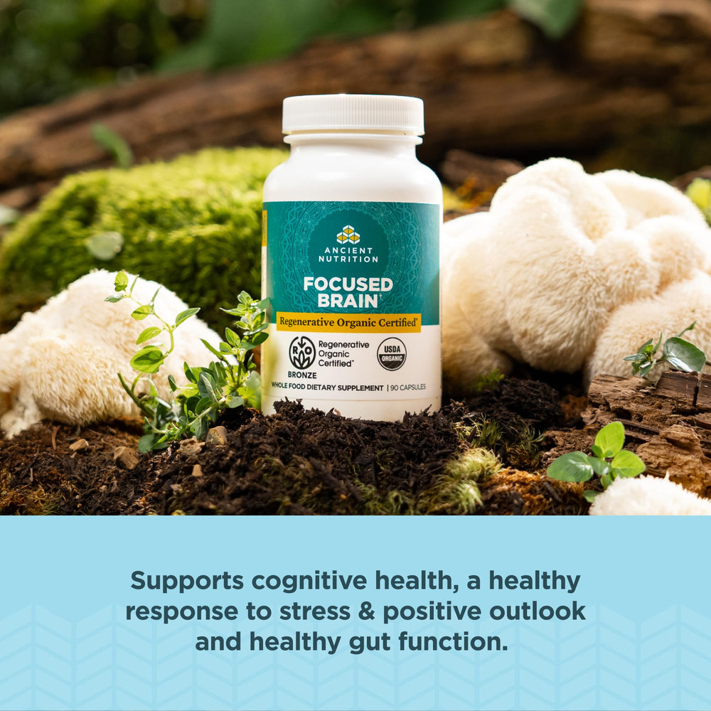 Ginkgo leaves and Lion's Mane mushrooms beside brain capsules
