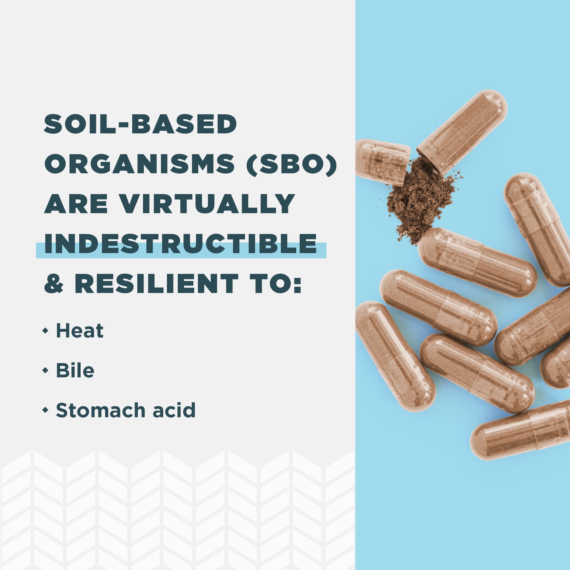 Ancient Superfoods blend concept imagery for SBO Probiotics