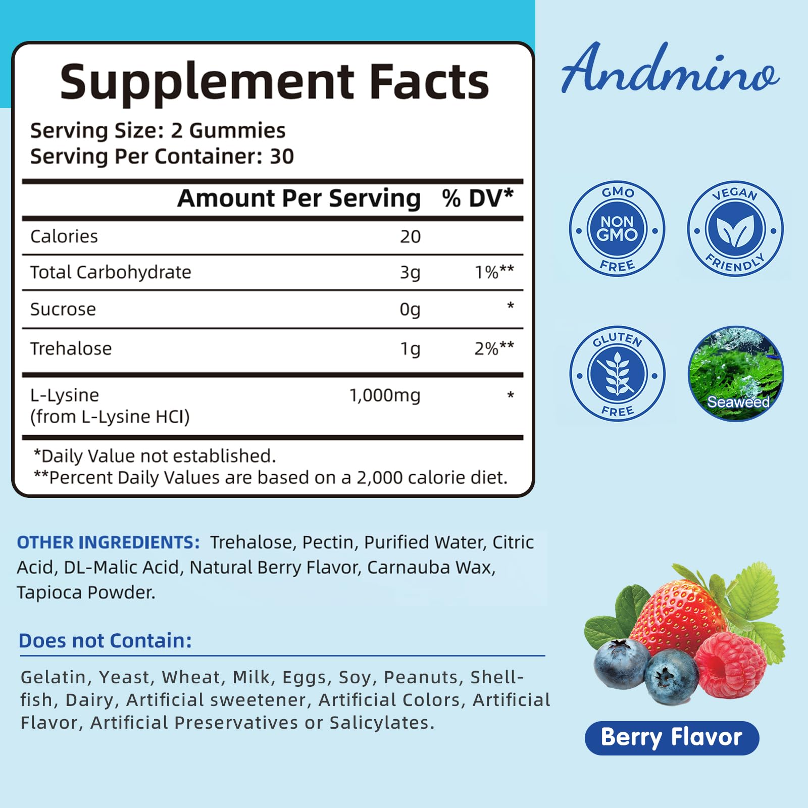 Andmino Lysine Gummies berry bottle with label