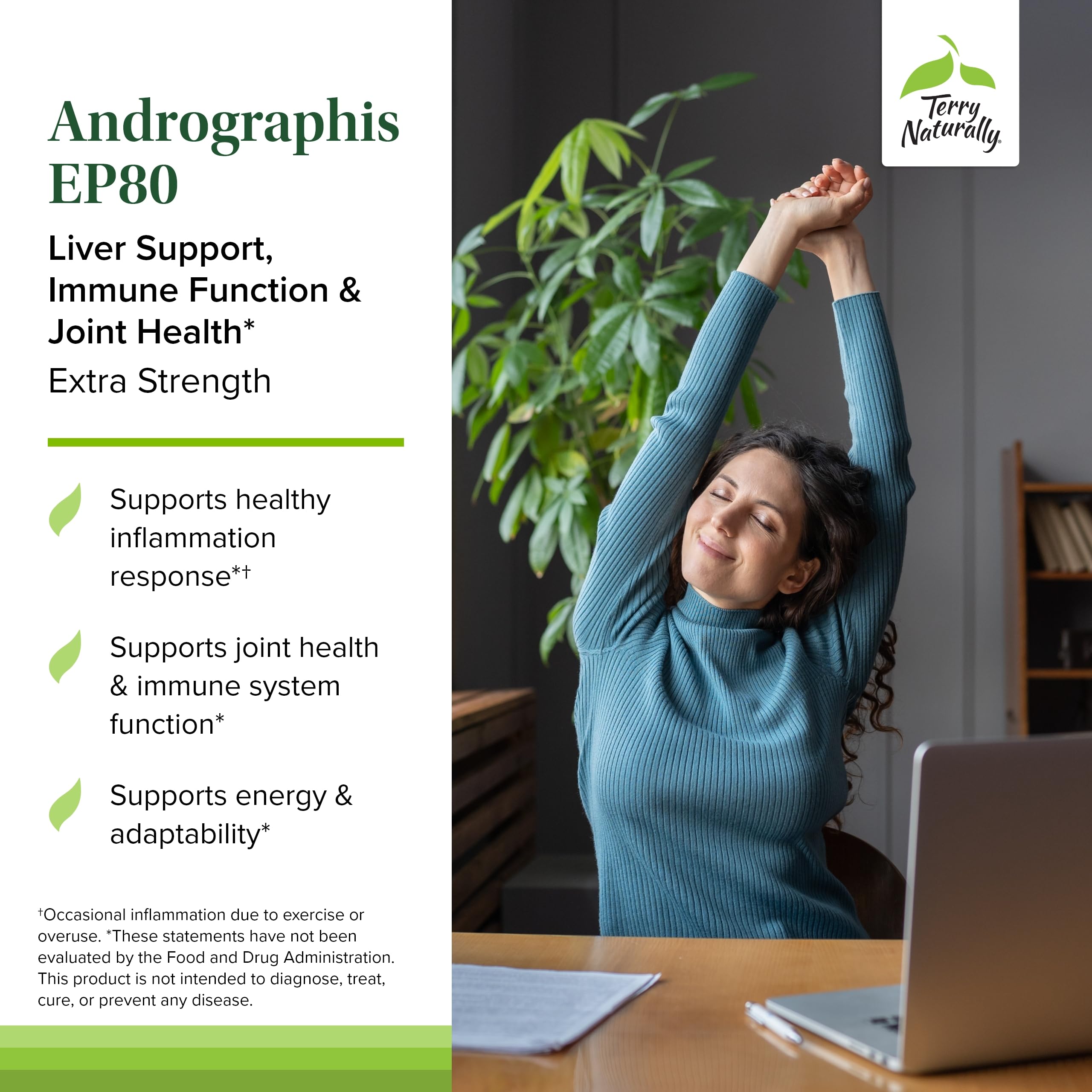 Graphic illustrating immune support benefits of Andrographis EP80 Extra Strength