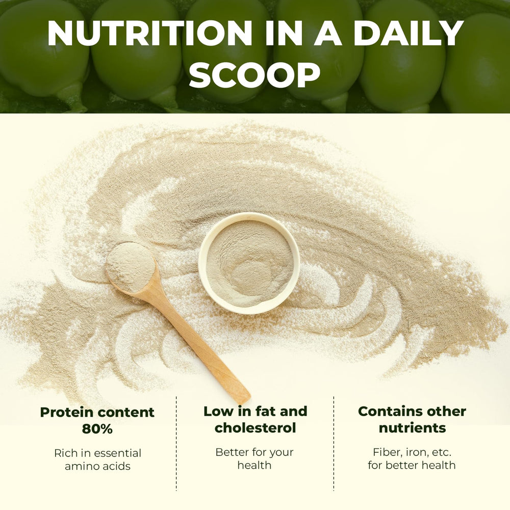 Close-up of Angtai JN pea protein powder texture and powder clarity