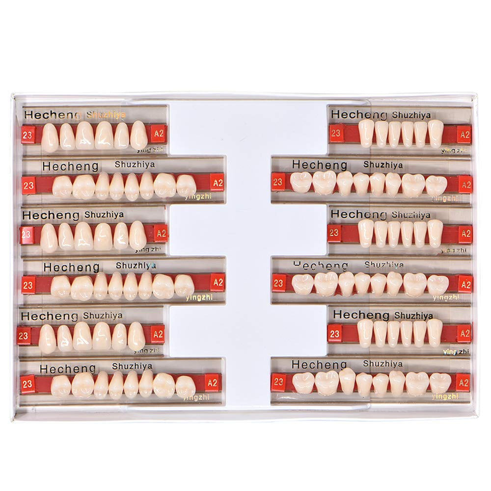 Angzhili 84 Pcs Acrylic Resin Denture Teeth set in 23 shade A2 for upper and lower arches