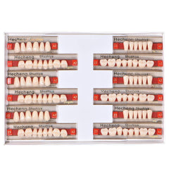 Angzhili 84 Pcs Acrylic Resin Denture Teeth set in 23 shade A2 for upper and lower arches