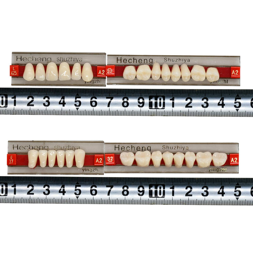 Three sets per box: 28 teeth per set for dentures