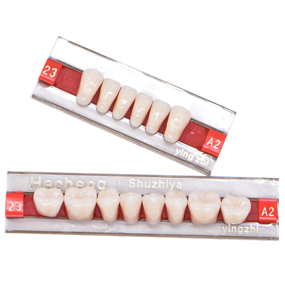 Solid acrylic resin denture teeth, not crowns or hollow